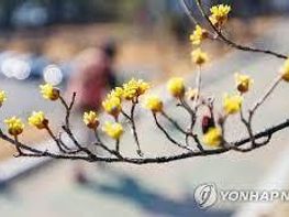 [한편의 시] 봄 기사 이미지