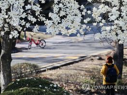 [한편의 시] 봄날 기사 이미지
