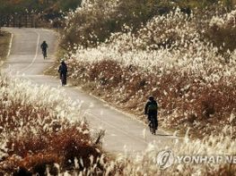 [한편의 시] 사이 기사 이미지
