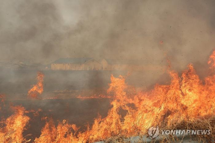 경찰, 의성 산불 50대 방화 혐의자 본격 수사 기사 이미지