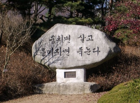 [지만호 칼럼] 뭉치면 살고 흩어지면 죽는다. 기사 이미지