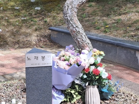추 도 사 기사 이미지