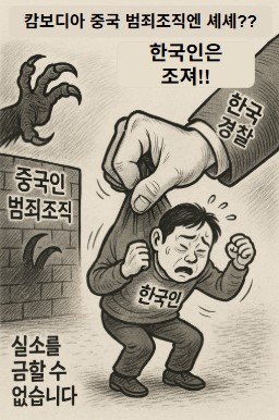 중국 범죄조직 앞에만 서면 작아져?! 기사 이미지