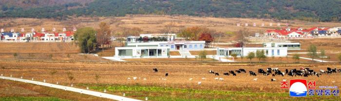 [북한 돋보기] 겉모습만 번지른 ‘사회주의 문화농촌’ 기사 이미지