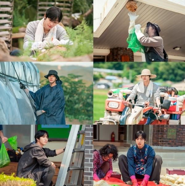 [SBS 오늘도 매진했습니다] 안효섭, ＂경운기 운전 재밌어, 내 차라고 생각하고 임했다＂ 좌충우돌 전원일기 공개!