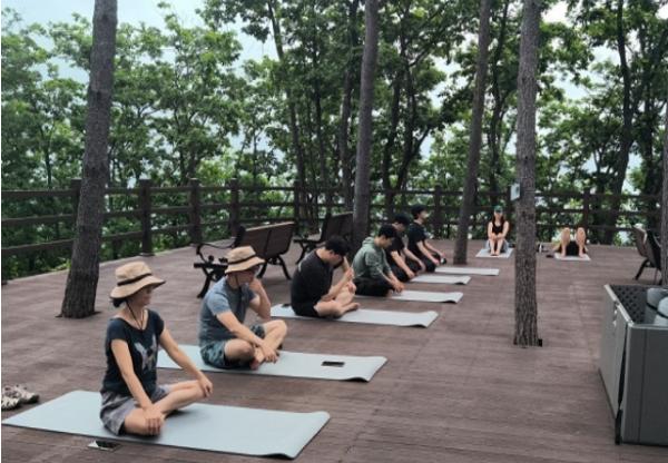 강원특별자치도, '매봉산 천상의 숲' 산림치유 프로그램 인기 절정! 기사 이미지